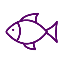 Fish Icon